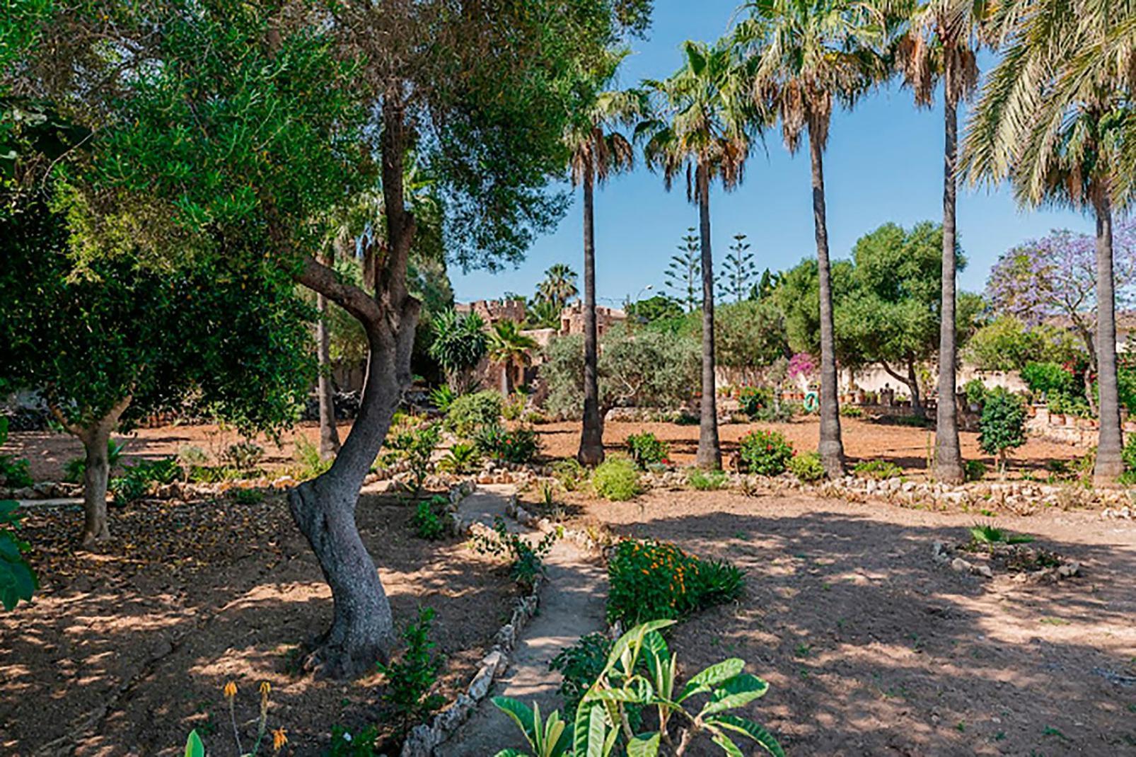 Castell Bohio Bellissimo * Urbanicacion ses palmeres